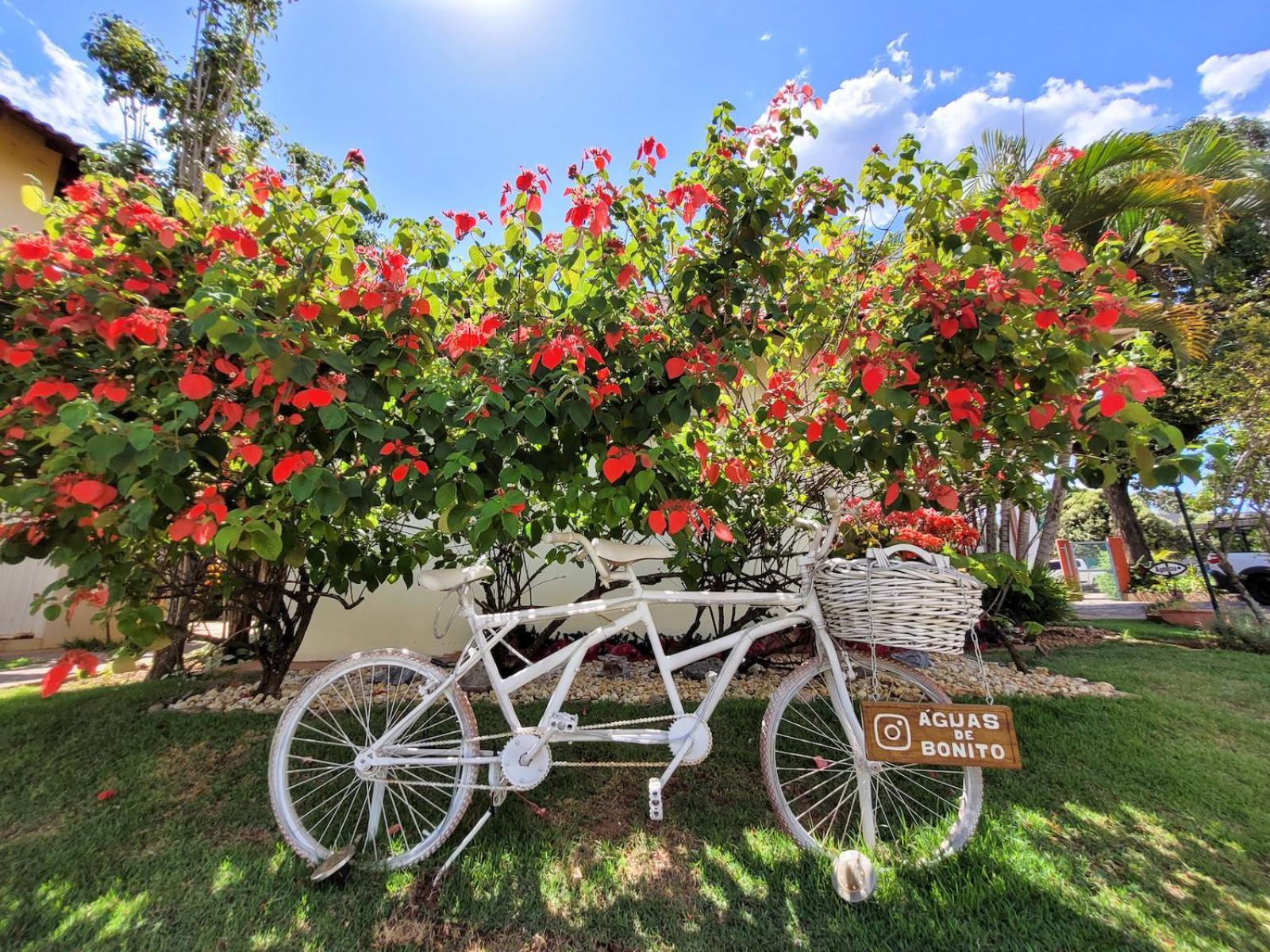 Hotel Pousada Aguas De Bonito ภายนอก รูปภาพ