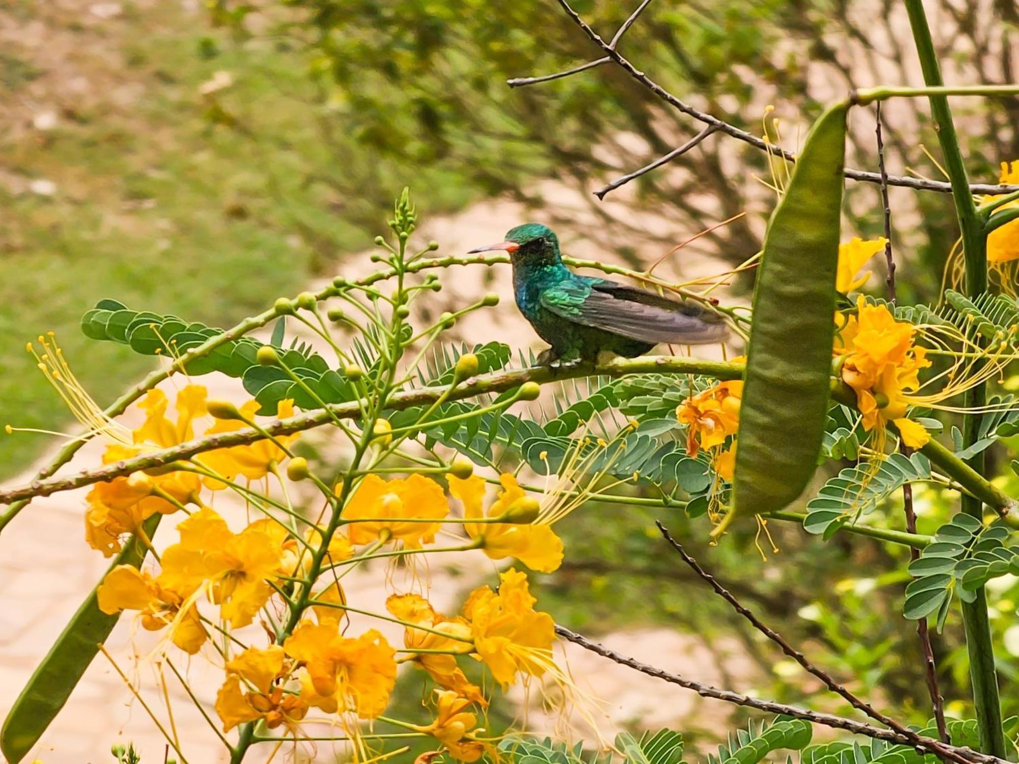 Hotel Pousada Aguas De Bonito ภายนอก รูปภาพ